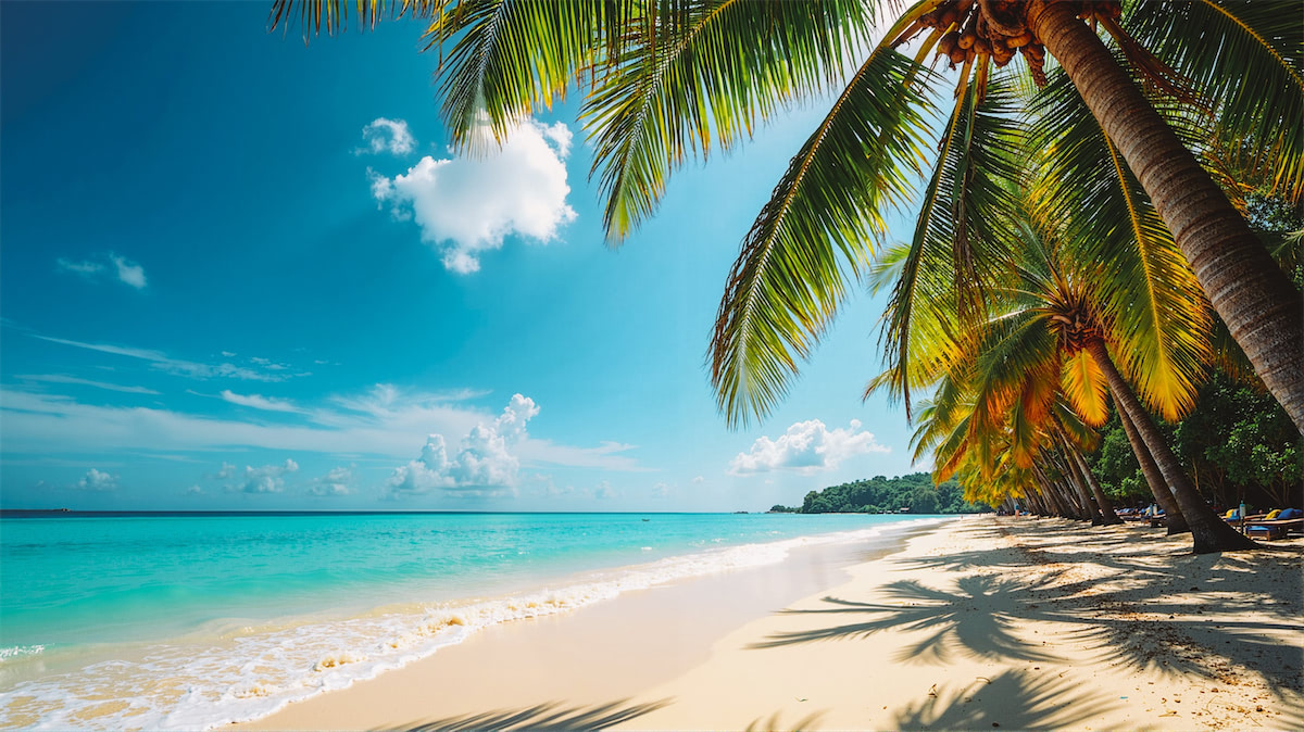 Tropischer Strand