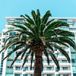 Palme vor Hotel